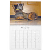 Rescue Cat Calendar - Editie 8 Kalender (Feb 2026)