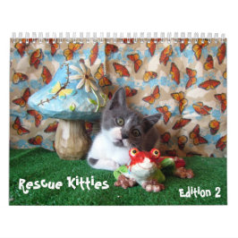 Rescue Cat Calendar - Edition 2 Kalender