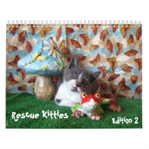 Rescue Cat Calendar - Edition 2 Kalender