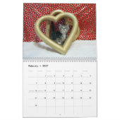 Rescue Cat Calendar - Uitgave 4 Kalender (Feb 2027)