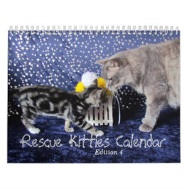 Rescue Cat Calendar - Uitgave 4 Kalender