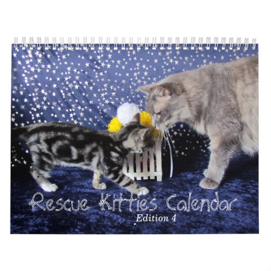 Rescue Cat Calendar - Uitgave 4 Kalender (Hoes)
