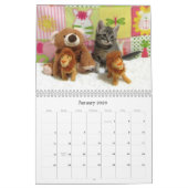 Rescue Cat Calendar - Uitgave 6 Kalender (Jan 2026)