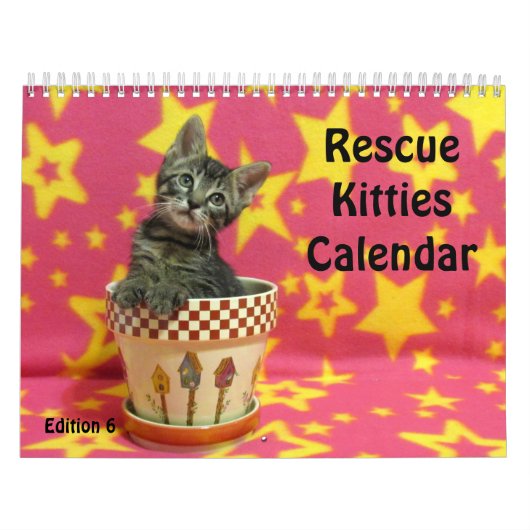 Rescue Cat Calendar - Uitgave 6 Kalender (Hoes)