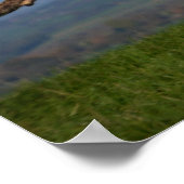 Rescue Dog Greyhound Sighthound Brindled Lurcher Poster (Hoek)