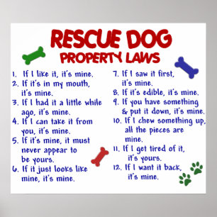 RESCUE DOG PL2 POSTER