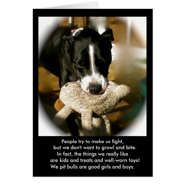 Rescue Dog Poetry (Voorkant)