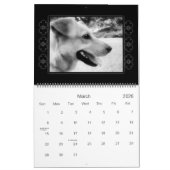 Rescue Dogs Calendar Kalender (Mar 2026)