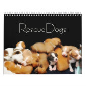 Rescue-honden II-kalender Kalender (Hoes)