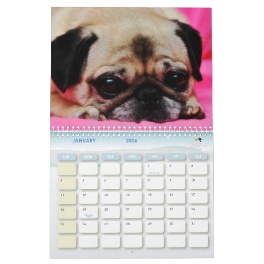 Rescue-honden II-kalender Kalender (Jan 2026)