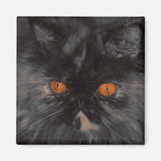 Rescue Kat magneet (Voorkant)