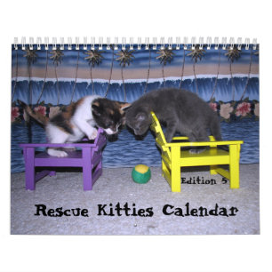 Rescue Katten Calendar - Edition 5 Kalender