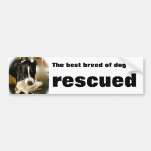 Rescue Pet Bumpersticker