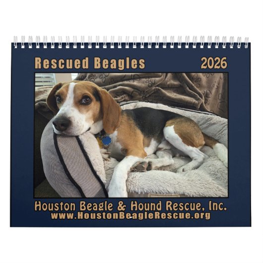 Rescued Beagles 2026 Wall Calendar Kalender (Hoes)