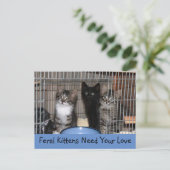 Rescued Kittens Briefkaart (Staand voorkant)