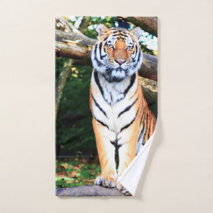 Réserve de tigres