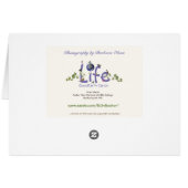 Réserve faunique de la rivière Parker : Plum Islan (Dos Horizontal)