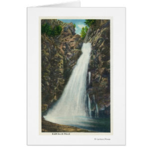 Réserve forestière blanche de montagnes