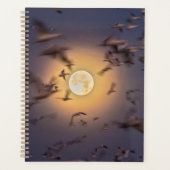 Réserve nationale de faune de Bosque del Apache (Devant)