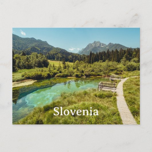 Réserve naturelle de Zelenci, Slovénie Carte posta (Devant)