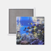 Réservoir de poisson 2 aimant (Recto/Verso)