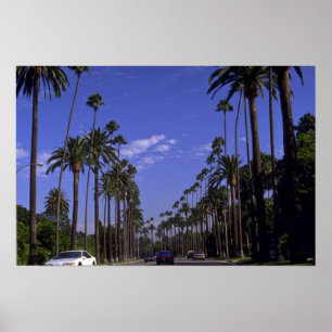 Residential Rodeo Drive, Beverly Hills, Californië Poster