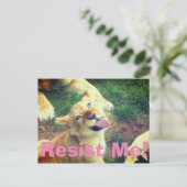 Résistez À Ma Carte Postale ! (Debout devant)