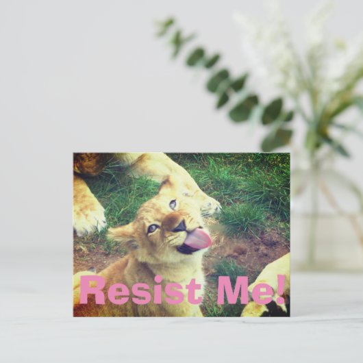 Résistez À Ma Carte Postale ! (Debout devant)