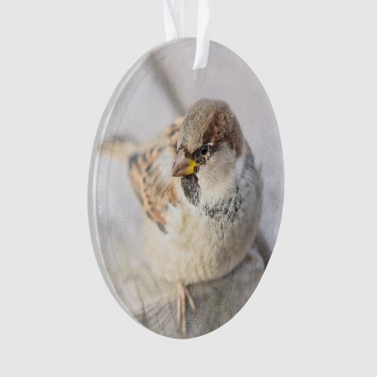 Resollen - na de transatlantische betrekkingen ornament (voorkant)