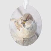 Resollen - na de transatlantische betrekkingen ornament (voorkant)