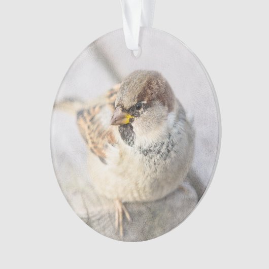 Resollen - na de transatlantische betrekkingen ornament (voorkant)