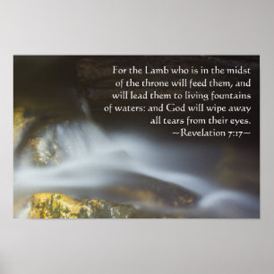 Resolutie 7:17 poster