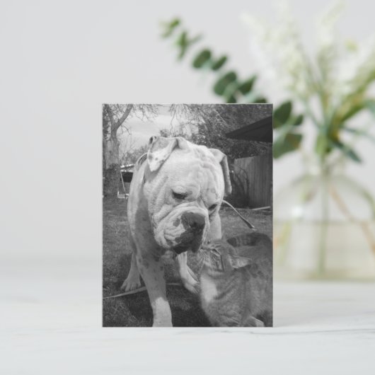 respect briefkaart (Staand voorkant)