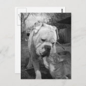 respect briefkaart (Voorkant / Achterkant)