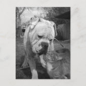 respect briefkaart (Voorkant)