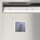 Resplendent Quetzal 2x2 magneet (Insitu (Vaatwasser))