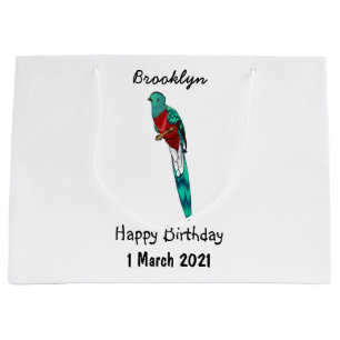 Resplendent quetzal-vogel cartoon illustratie groot cadeauzakje