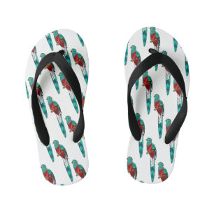 Resplendent quetzal-vogel cartoon illustratie kinder teenslippers