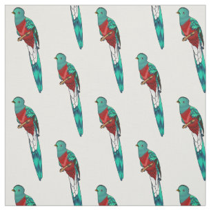 Resplendent quetzal-vogel cartoon illustratie stof