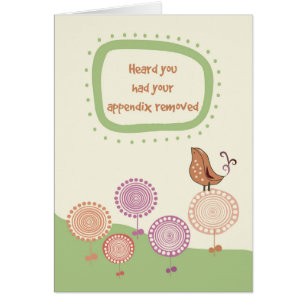 Ressentez mieux Appendice Retiré mignon oiseau sur