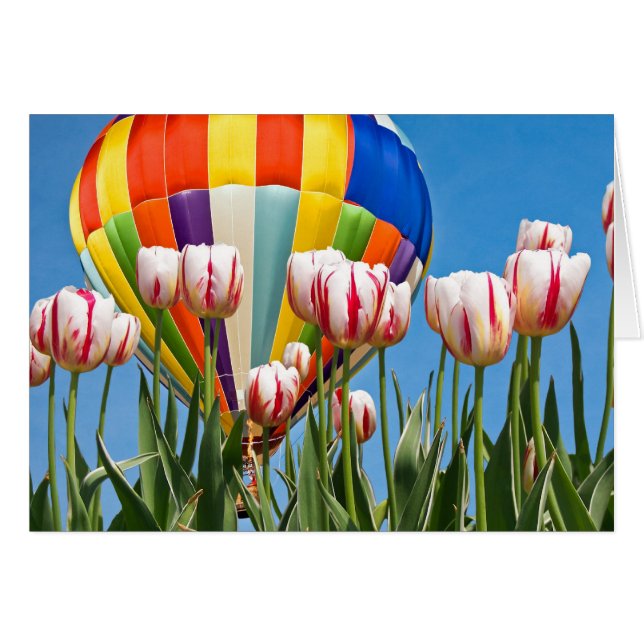 Ressort (Devant Horizontal)