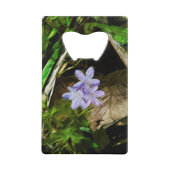 Ressort Beauté violet Fleur sauvage Abstrait (Devant)