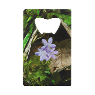 Ressort Beauté violet Fleur sauvage Abstrait