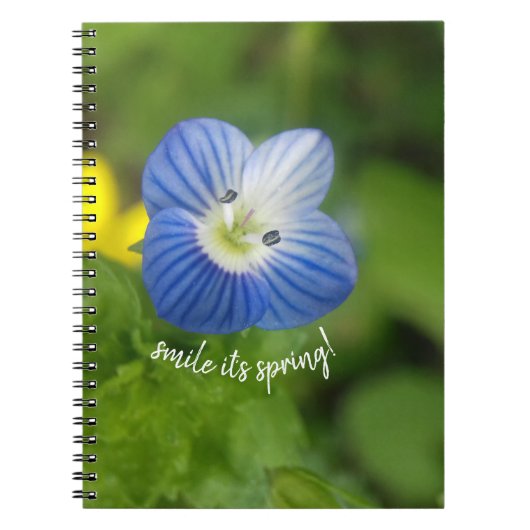 ressort bleu - carnet (Devant)