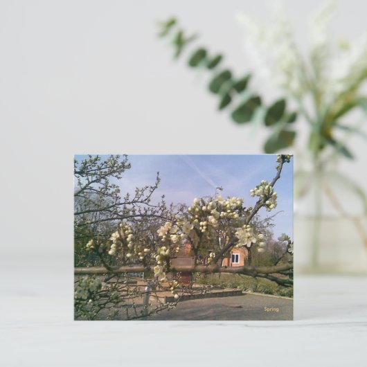 Ressort de carte postale (Debout devant)