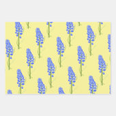 Ressort terne sur feuilles de papier d'emballage ( (Devant)