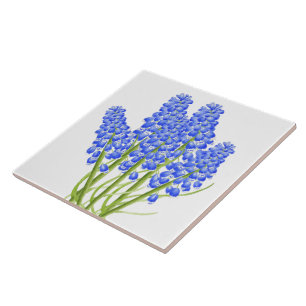 Ressort terroir sur carreaux de céramique (M)