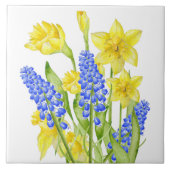 Ressort terroir sur carreaux de céramique (M, D) (Devant)