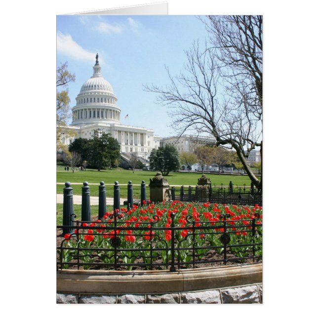 Ressort US Capitol (Devant)