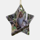 ressus macaque monkey keramisch ornament (Rechts)